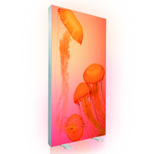 SEG LED Lightboxes