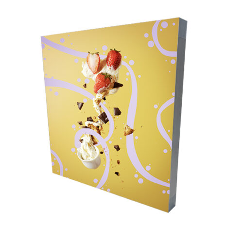 BOSS SEG Wall Mounted 61x61cm Kit